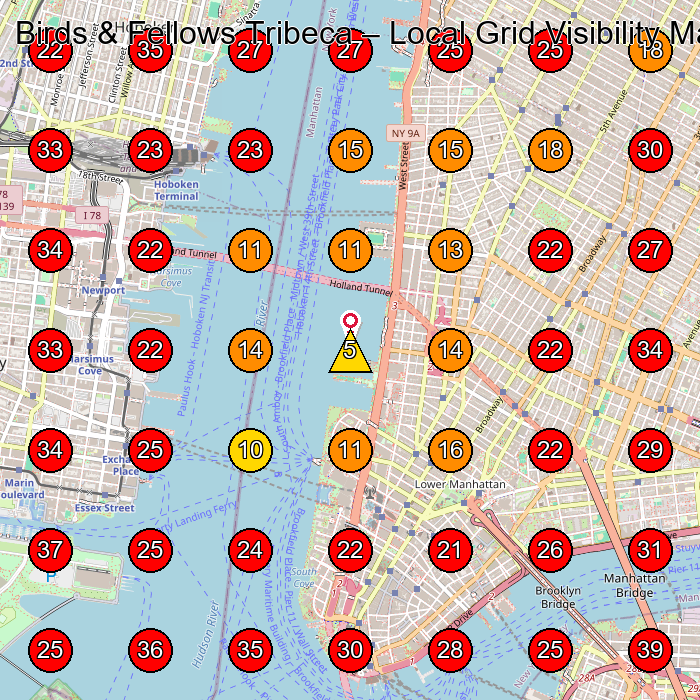 Birds & Fellows Tribeca GeoGrid visibility map for Hair Salon in New York